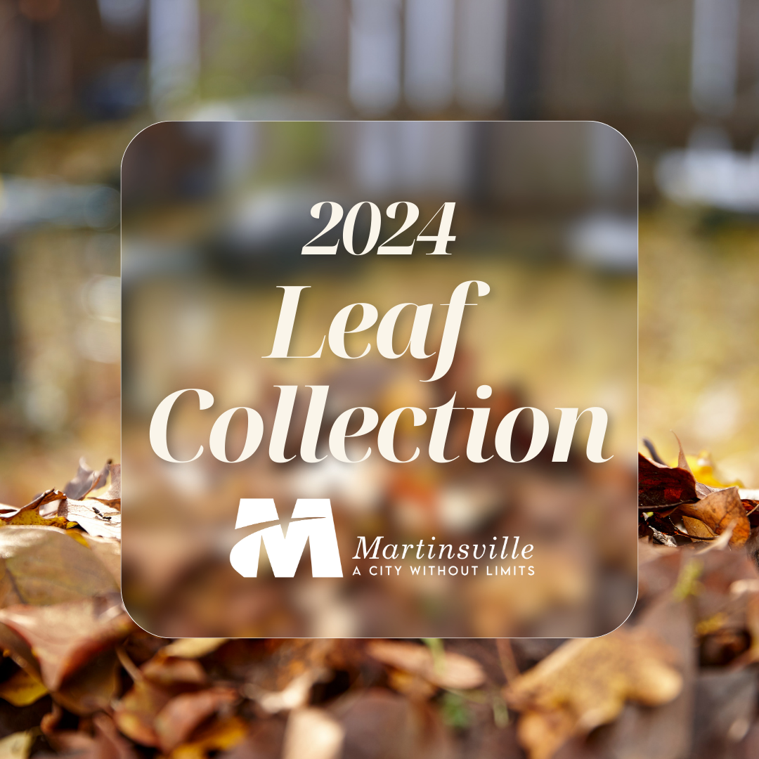 leaf collection