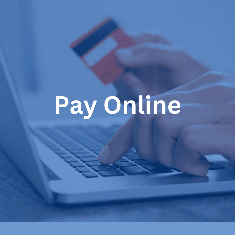 pay online (1)
